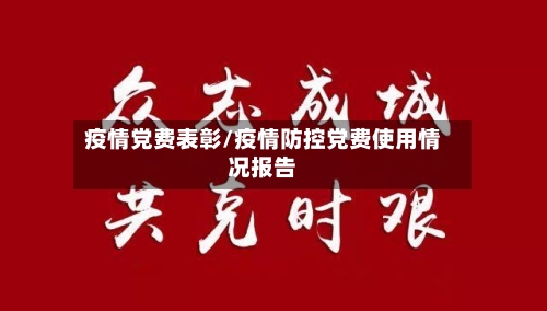 疫情党费表彰/疫情防控党费使用情况报告-第3张图片
