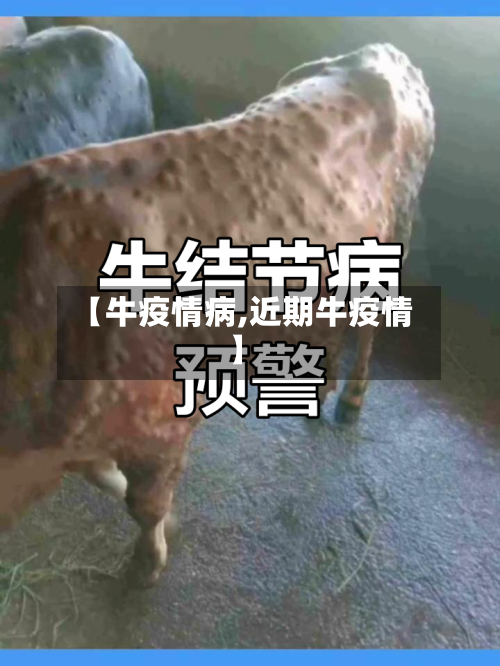【牛疫情病,近期牛疫情】-第2张图片