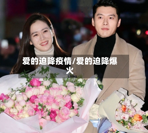 爱的迫降疫情/爱的迫降爆火-第3张图片