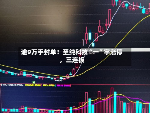 逾9万手封单！至纯科技“一”字涨停，三连板-第2张图片