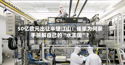 50亿欧元出让半壁江山：雀巢为何亲手拆解自己的“水王国”？-第2张图片