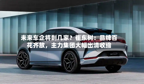 未来车企将剩几家？崔东树：品牌百花齐放	，主力集团大幅出清收缩-第3张图片