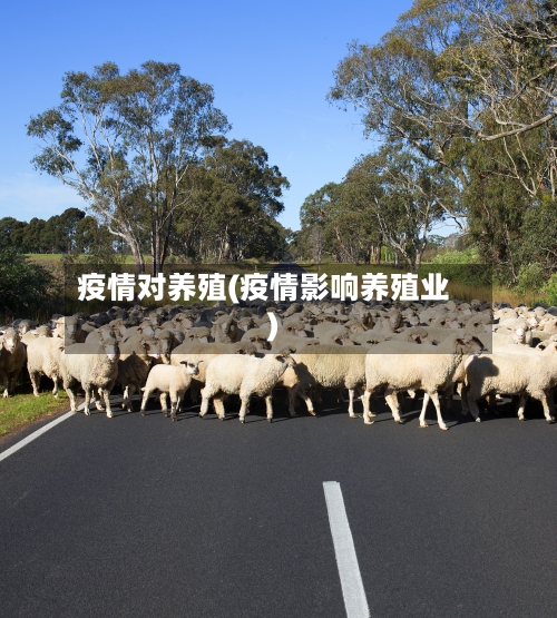 疫情对养殖(疫情影响养殖业)-第2张图片