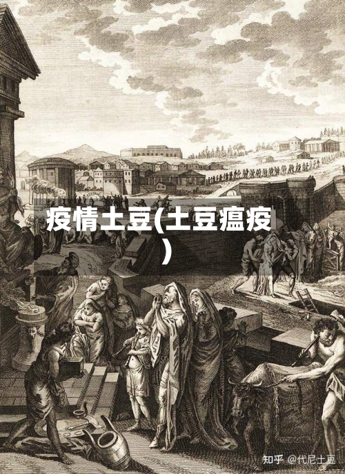 疫情土豆(土豆瘟疫)