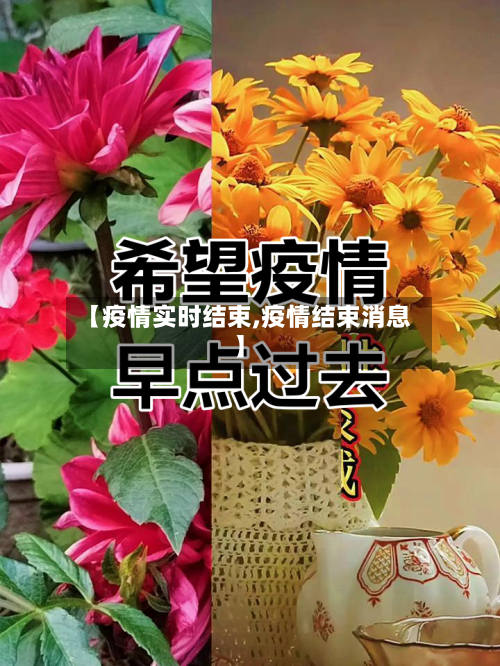 【疫情实时结束,疫情结束消息】-第3张图片
