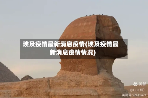 埃及疫情最新消息疫情(埃及疫情最新消息疫情情况)-第2张图片