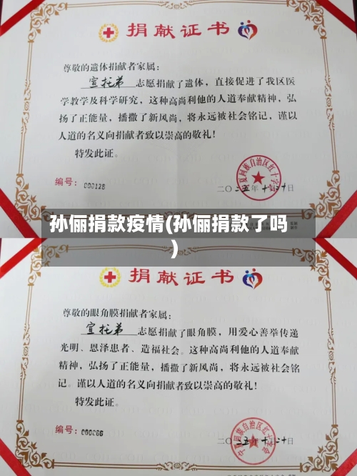 孙俪捐款疫情(孙俪捐款了吗)-第3张图片