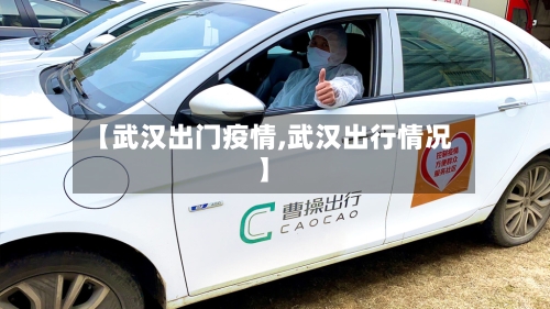 【武汉出门疫情,武汉出行情况】