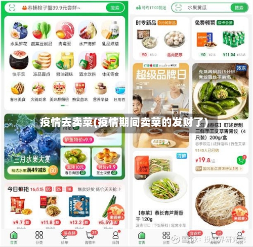 疫情去卖菜(疫情期间卖菜的发财了)