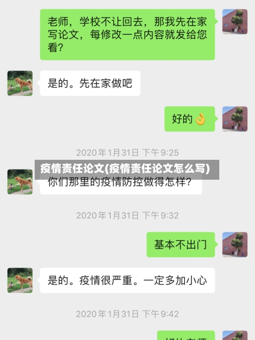 疫情责任论文(疫情责任论文怎么写)-第2张图片