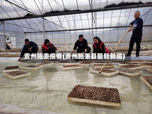 贵州施秉疫情(贵州施秉县最新新闻)-第2张图片