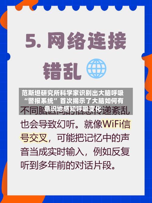 范斯坦研究所科学家识别出大脑呼吸“警报系统	” 首次揭示了大脑如何有意识地感知呼吸变化-第3张图片