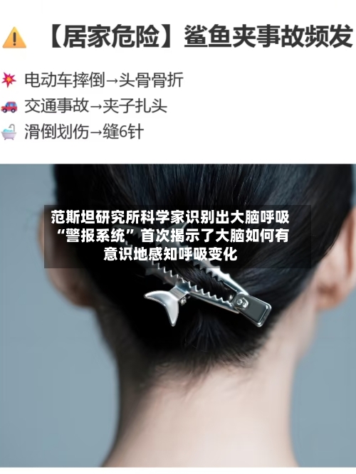 范斯坦研究所科学家识别出大脑呼吸“警报系统” 首次揭示了大脑如何有意识地感知呼吸变化-第2张图片