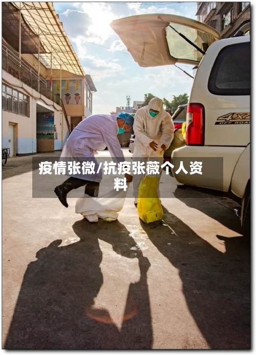 疫情张微/抗疫张薇个人资料-第3张图片
