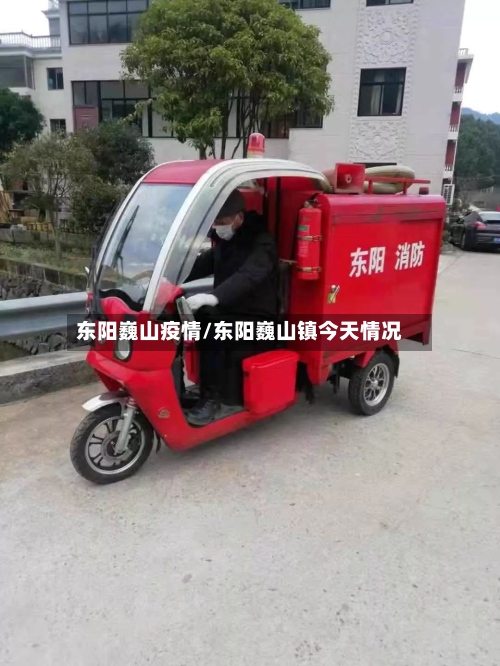东阳巍山疫情/东阳巍山镇今天情况