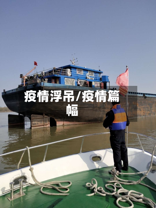 疫情浮吊/疫情篇幅-第2张图片
