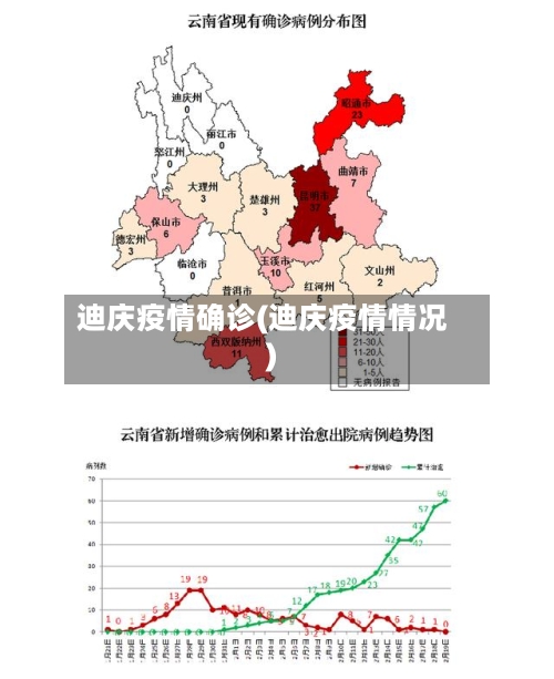 迪庆疫情确诊(迪庆疫情情况)