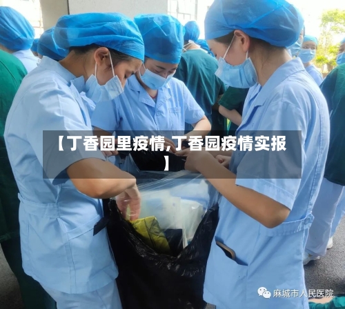 【丁香园里疫情,丁香园疫情实报】