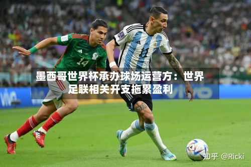 墨西哥世界杯承办球场运营方：世界足联相关开支拖累盈利-第2张图片