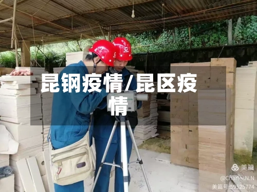 昆钢疫情/昆区疫情-第2张图片