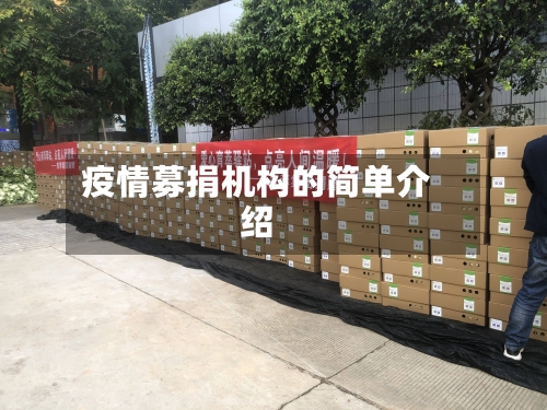 疫情募捐机构的简单介绍