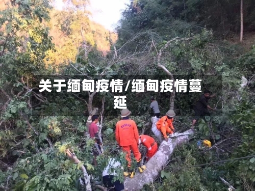 关于缅甸疫情/缅甸疫情蔓延