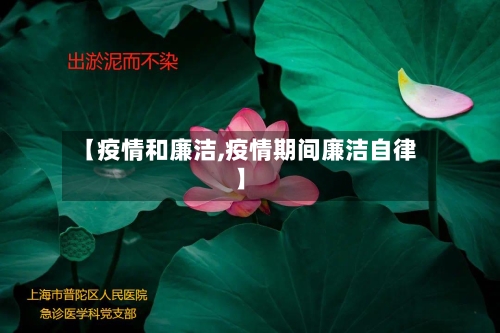 【疫情和廉洁,疫情期间廉洁自律】-第3张图片