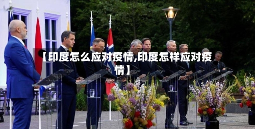 【印度怎么应对疫情,印度怎样应对疫情】-第2张图片