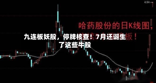 九连板妖股，停牌核查！7月还诞生了这些牛股-第2张图片