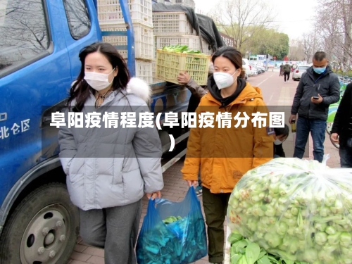阜阳疫情程度(阜阳疫情分布图)