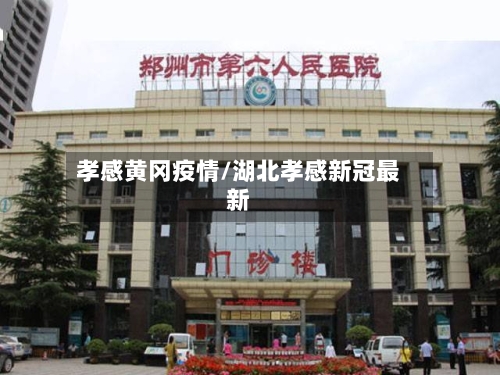 孝感黄冈疫情/湖北孝感新冠最新