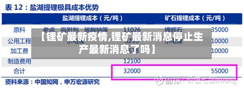 【锂矿最新疫情,锂矿最新消息停止生产最新消息了吗】-第2张图片