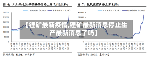 【锂矿最新疫情,锂矿最新消息停止生产最新消息了吗】-第3张图片