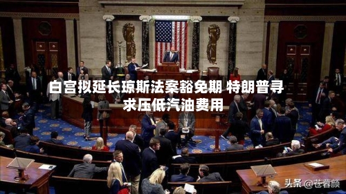 白宫拟延长琼斯法案豁免期 特朗普寻求压低汽油费用-第3张图片