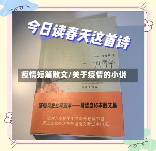 疫情短篇散文/关于疫情的小说