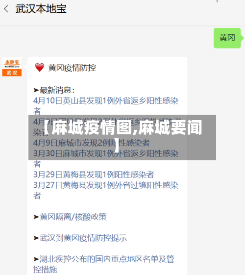 【麻城疫情图,麻城要闻】-第3张图片
