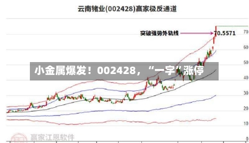 小金属爆发！002428	，“一字	”涨停-第2张图片