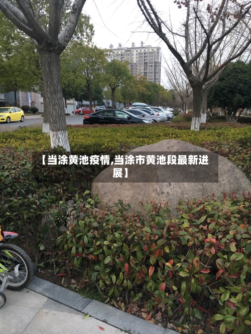 【当涂黄池疫情,当涂市黄池段最新进展】-第2张图片