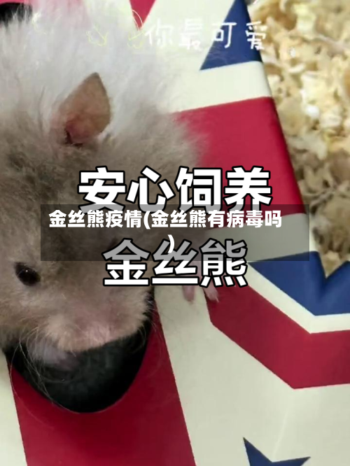金丝熊疫情(金丝熊有病毒吗)-第3张图片