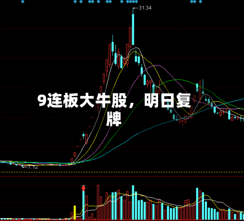 9连板大牛股，明日复牌-第2张图片