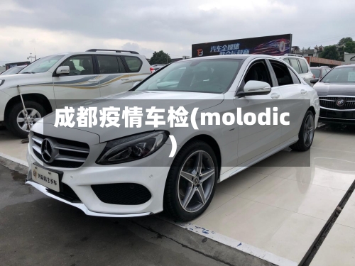 成都疫情车检(molodic)-第3张图片