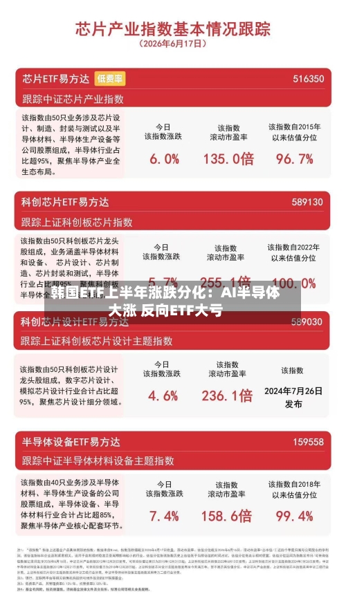 韩国ETF上半年涨跌分化：AI半导体大涨 反向ETF大亏-第2张图片