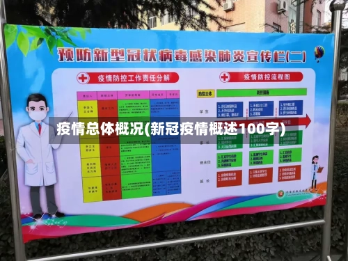 疫情总体概况(新冠疫情概述100字)