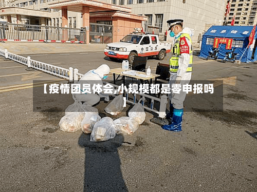 【疫情团员体会,小规模都是零申报吗】