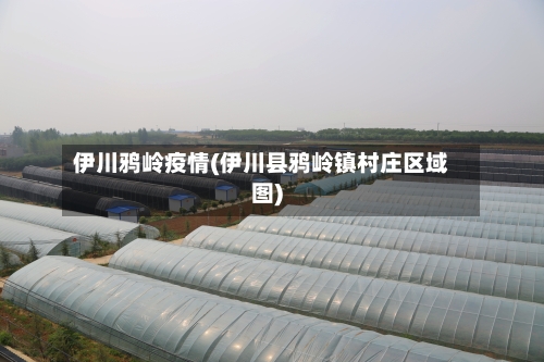 伊川鸦岭疫情(伊川县鸦岭镇村庄区域图)-第2张图片