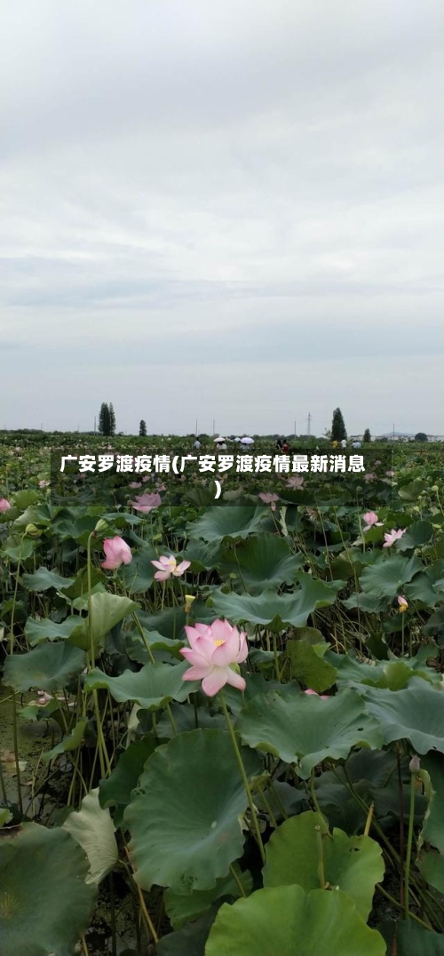 广安罗渡疫情(广安罗渡疫情最新消息)-第2张图片