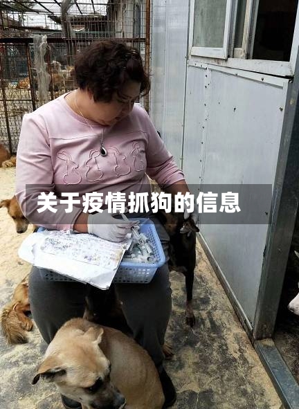 关于疫情抓狗的信息