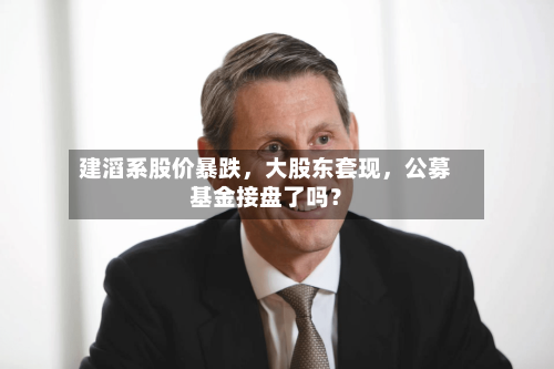 建滔系股价暴跌	，大股东套现，公募基金接盘了吗？-第2张图片