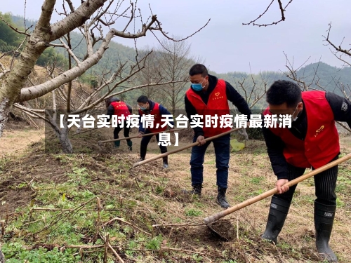 【天台实时疫情,天台实时疫情最新消息】