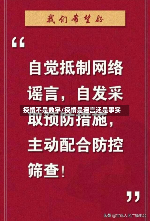 疫情不是数字/疫情是谣言还是事实-第3张图片